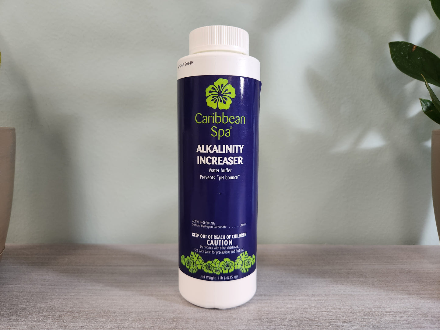 SPA ALKALINITY INCREASER